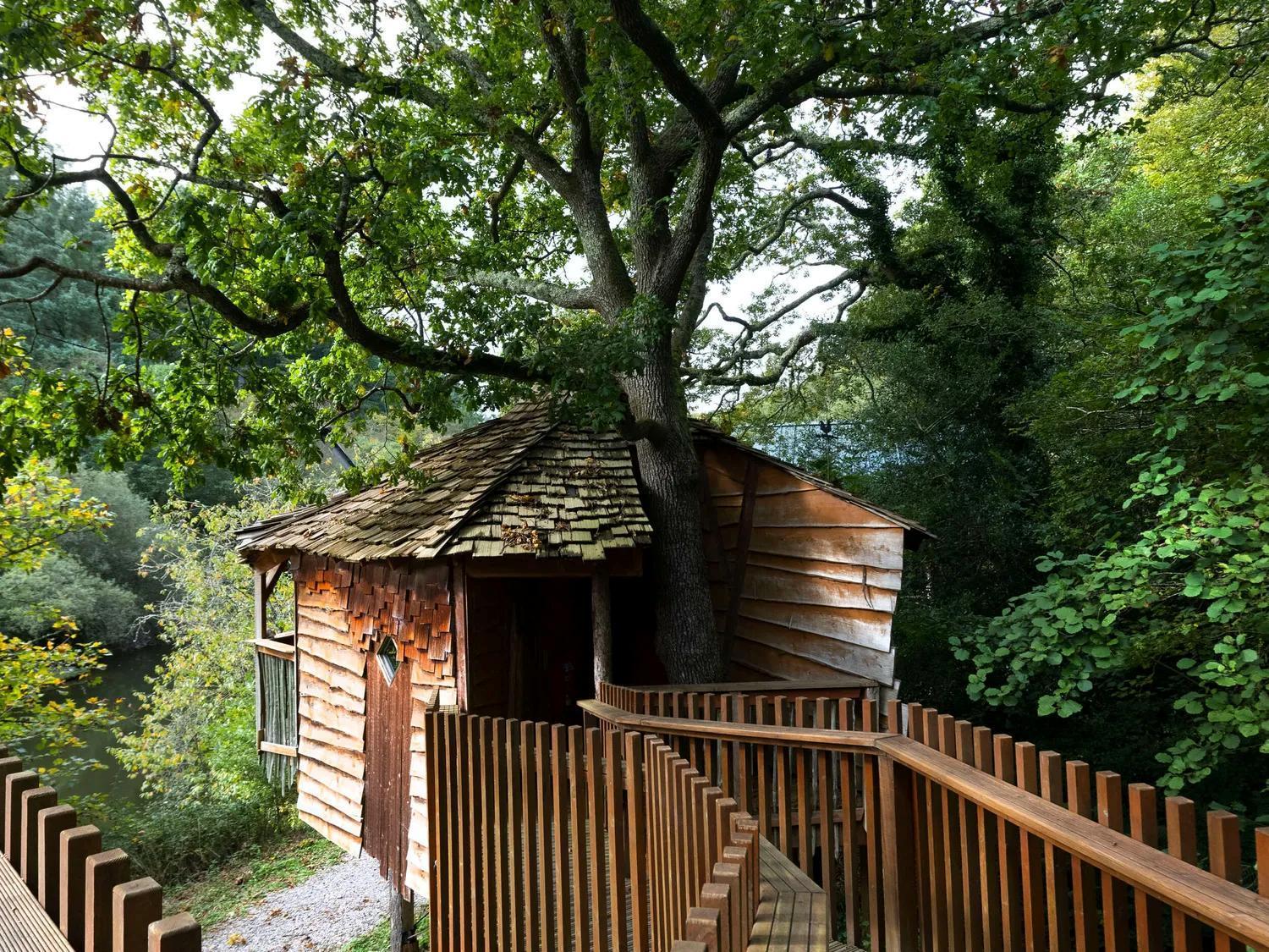 Deerpark Cabins, Cornwall - Forest Holidays Liskeard Bagian luar foto