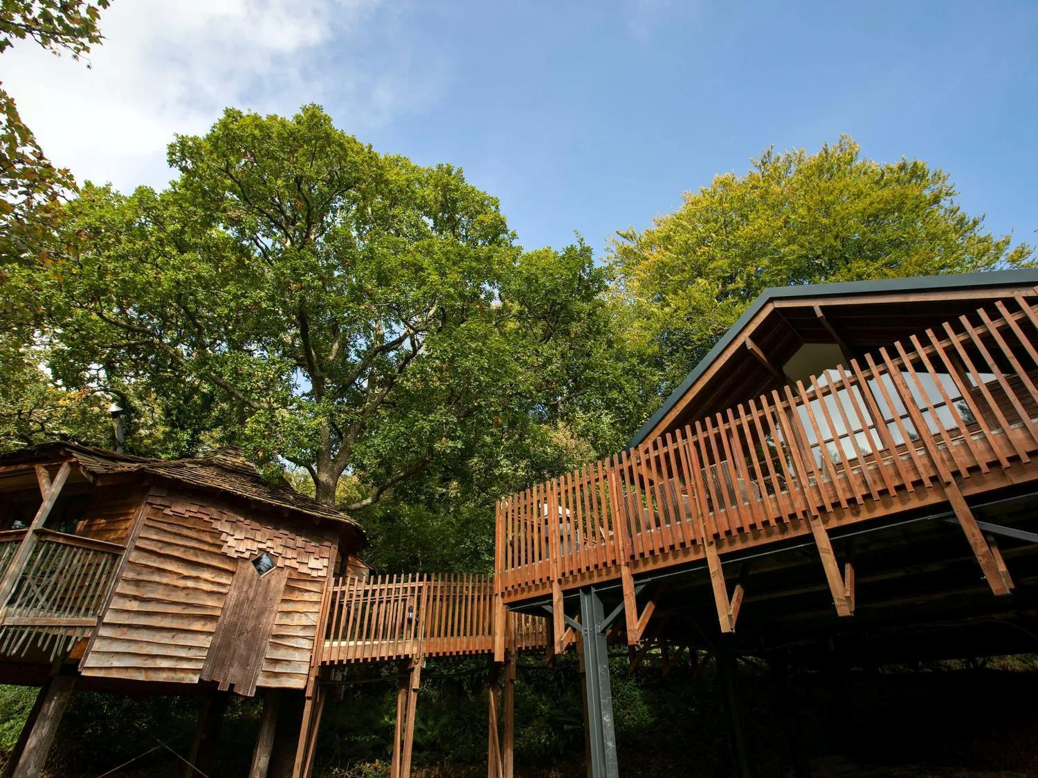 Deerpark Cabins, Cornwall - Forest Holidays Liskeard Bagian luar foto